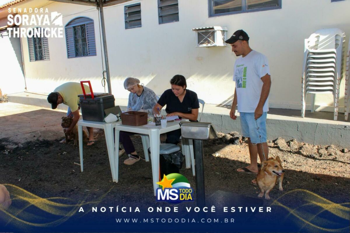 Imagem da Galeria